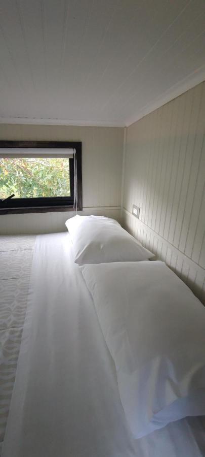 Cabanas Alto Bosque 普孔 外观 照片